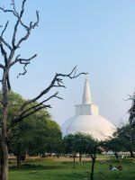 WhatsApp Image 2025-11-05 at 16.12.48 (1)